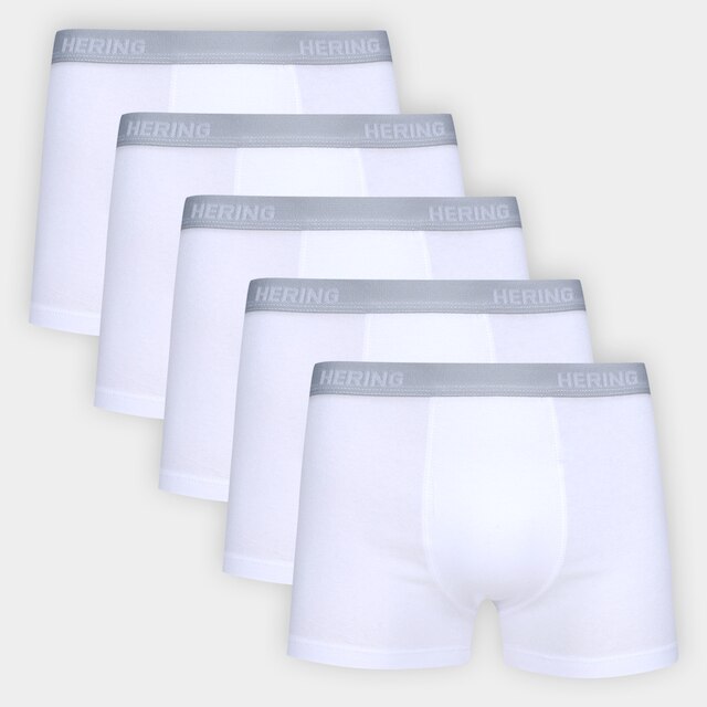 Kit Cueca Boxer Hering 5 Peças